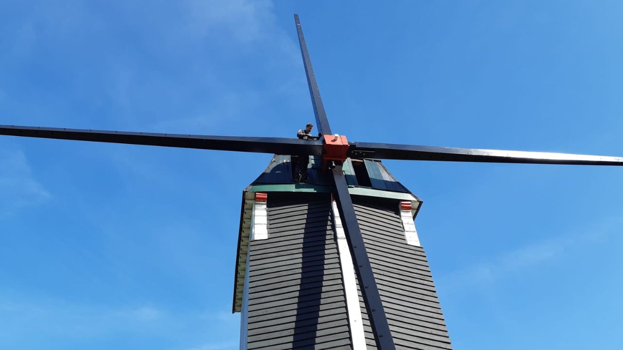 Afbeelding