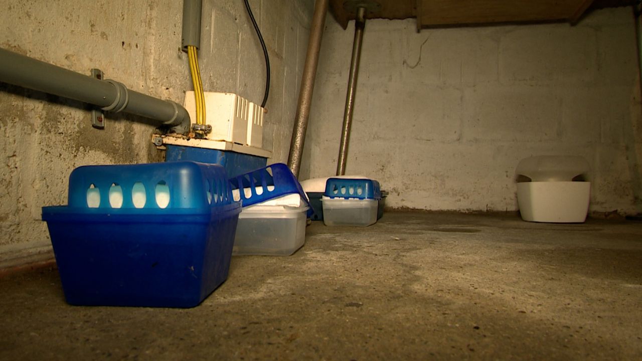 Onderzoek naar grondwaterproblemen Meerssen nog niet afgerond