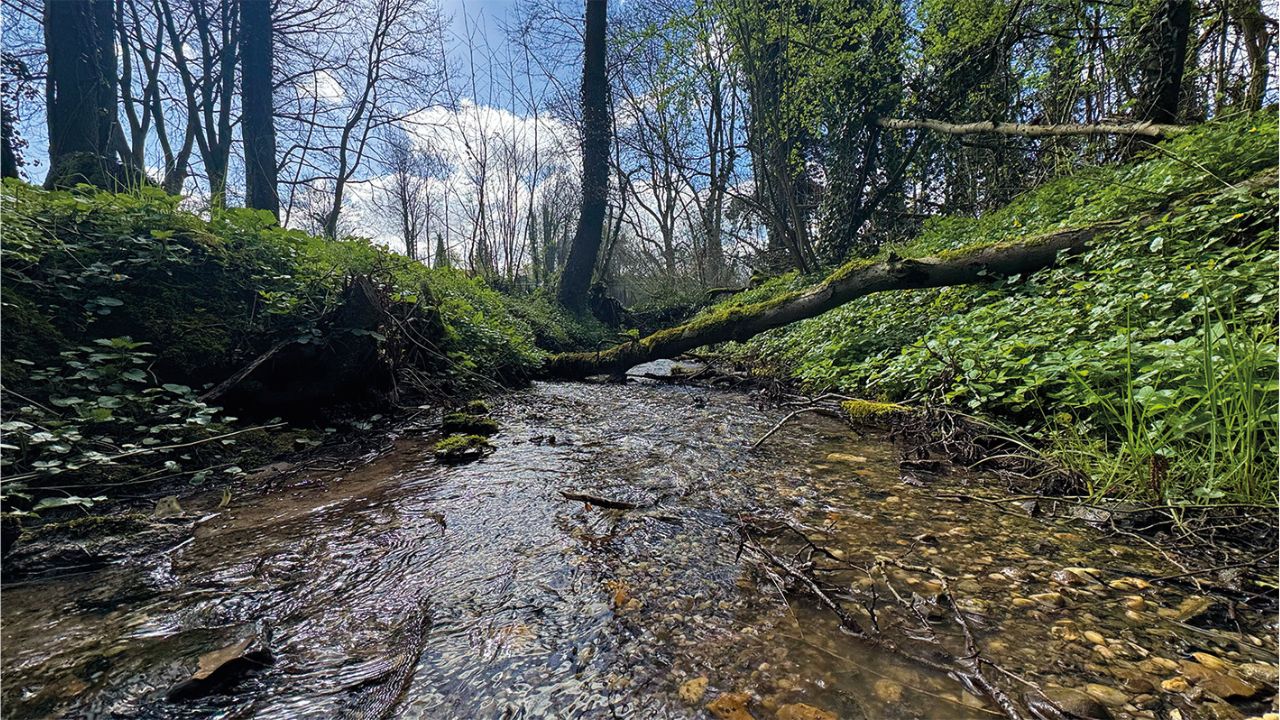 Werk aan beek de Noor moet verdere verdroging voorkomen